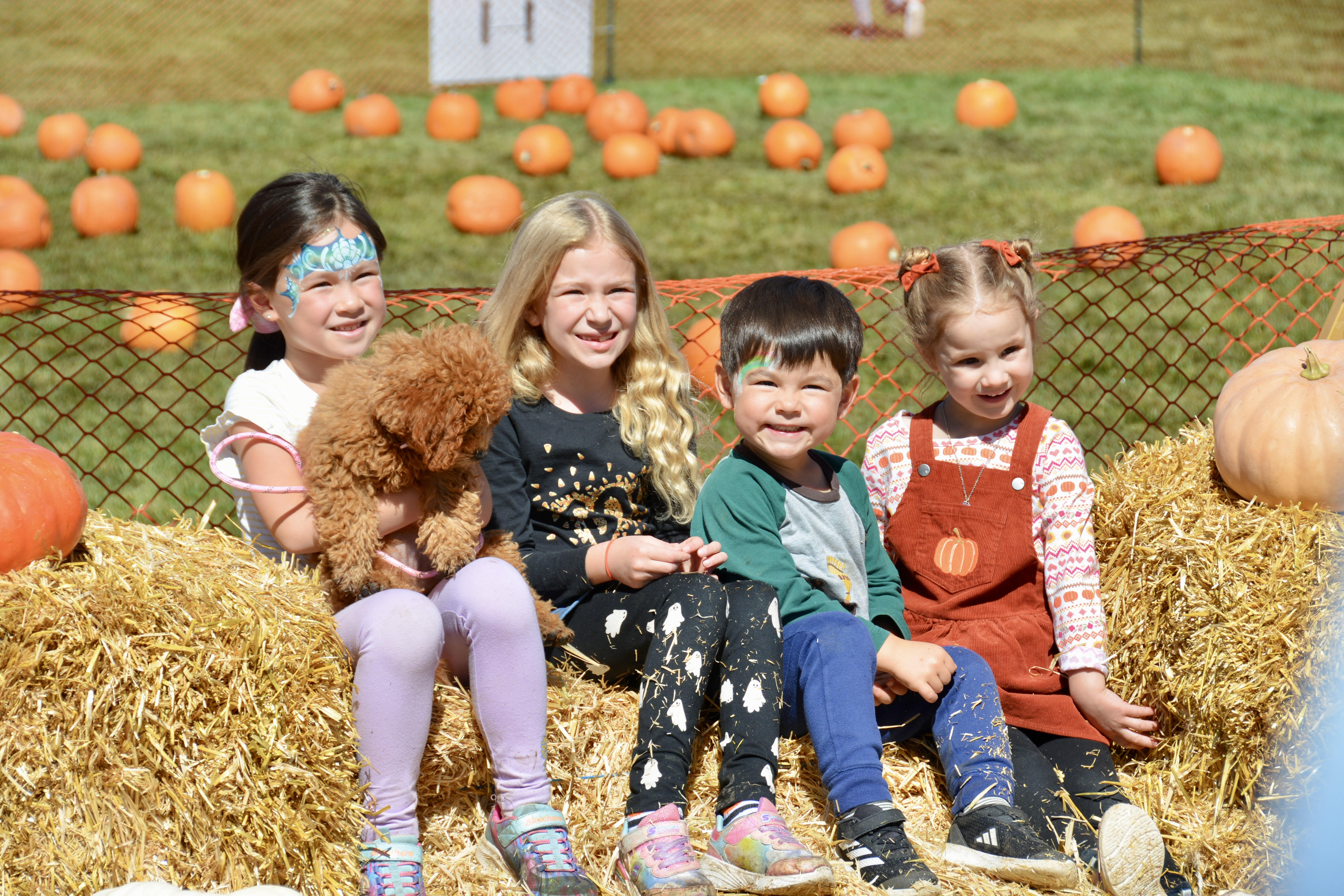 Sterling Fall Festival