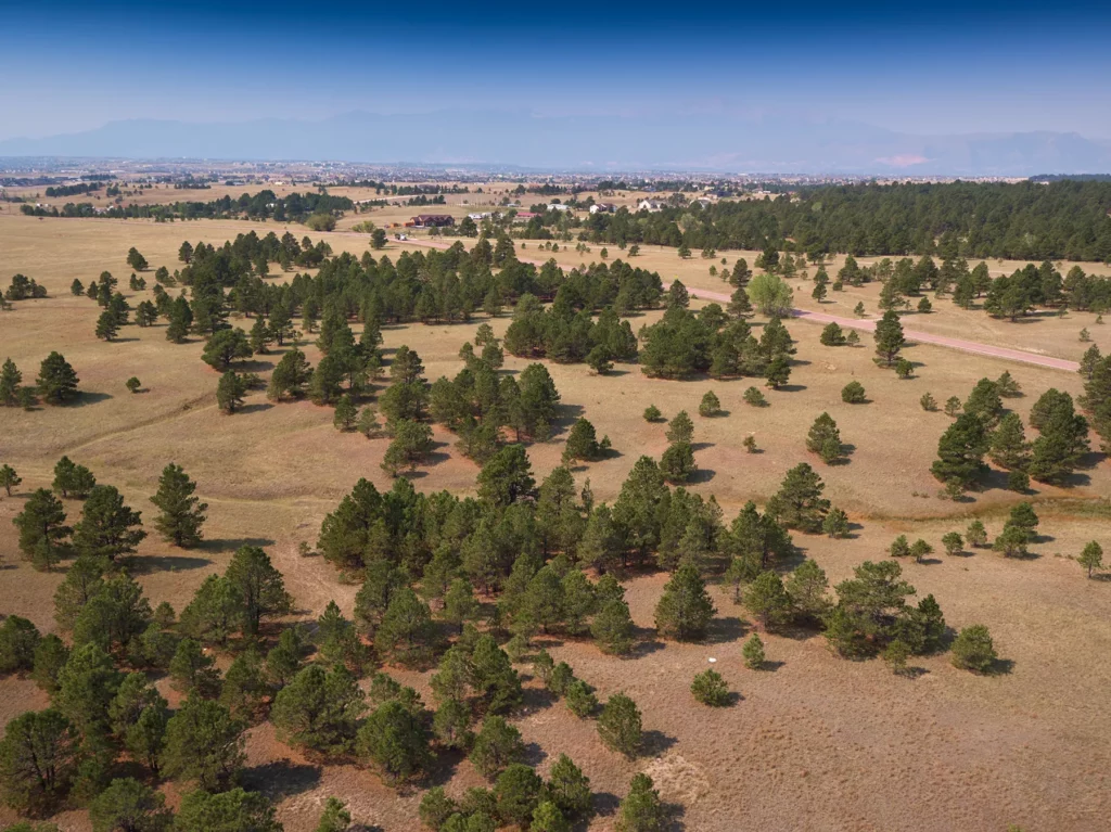 Timber Ridge Vantage Homes