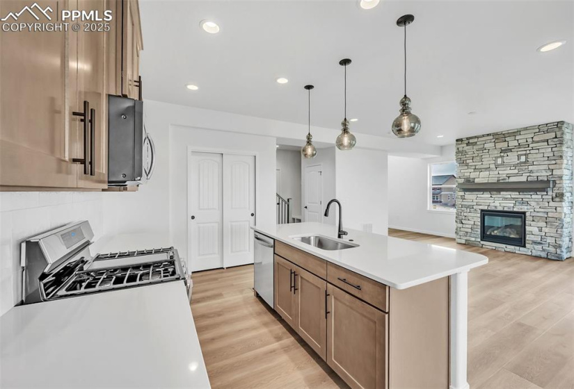 Kitchen with light wood-style flooring, a sink, a stone fireplace, and appliances with stainless steel finishes