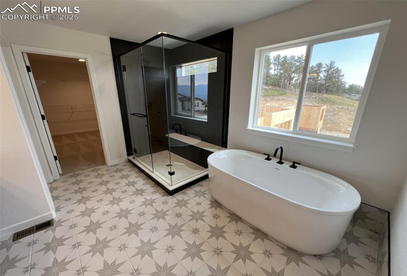 Bathroom with a huge walk in closet, a soaking tub, a spa shower stall, and light floors